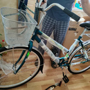 фото Stels Navigator 300 Lady 28' Z010 | покупатели 100bike